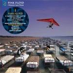 Pink Floyd - A Momentary Lapse Of Reason (Remastered) (2 LP)