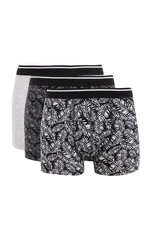 DEFACTO Regular Fit Patterned 3-Piece Boxer