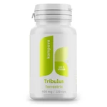 KOMPAVA Tribulus terrestris 400 mg 120 kapslí