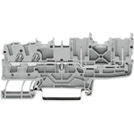 WAGO 2022-1401 hlavné svorka 5.20 mm pružinová svorka Osadenie: L sivá 1 ks