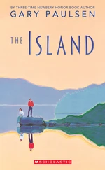 The Island