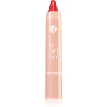 Yves Rocher Le Brillant hydratační rtěnka v tužce odstín 04 Rouge Pivoin 2.2 g