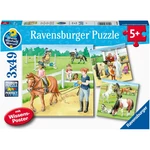 Ravensburger Puzzle Koně 3 x 49 dílků