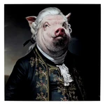 KARE DESIGN Sklenený obraz Gentleman Pig 120×120 cm