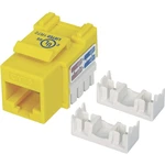 Intellinet 210584 zabudovaný modul RJ45 Keystone CAT 6