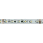 Brumberg  18503002 LED pásik   24 V/DC 5 m RGBW