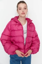 Trendyol Winter Jacket - Lilac - Puffer