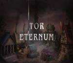 Tor Eternum Steam CD Key