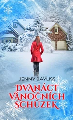 Dvanáct vánočních schůzek - Jenny Bayliss - e-kniha