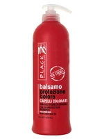 Péče pro barvené vlasy Black Color Protection - 500 ml (01249) + dárek zdarma