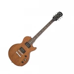 Epiphone Les Paul Special Satin E1 Wlv