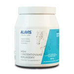 ALAVIS MSM pre kone - 600g