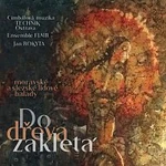 Cimbálová muzika Technik, Ensemble Flair, Jan Rokyta – Do dřeva zakletá CD