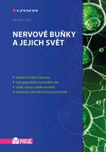 Nervové buňky a jejich svět, Orel Miroslav