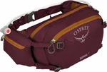 Osprey Seral 7 Aprium Purple Sac banane