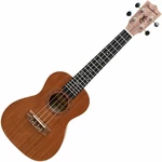 Pasadena SU024BG Natural Koncertné ukulele