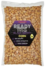 Starbaits kukurica ready seeds pro blackberry - 1 kg