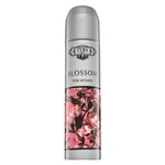 Cuba Blossom parfémovaná voda pre ženy 100 ml