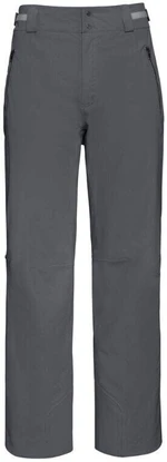 Head Rebels Anthracite M Pantalone da sci