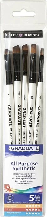 Daler Rowney Graduate Multi-Technique Brush Synthetic Set de pinceaux 5 pièces