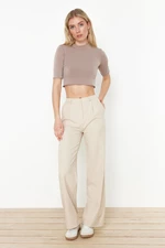 Trendyol Beige Wide Leg/Wide Leg Woven Pants