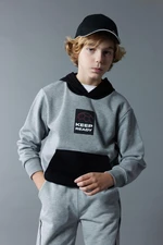 DEFACTO Boy's Printed Hooded Thick Sweatshirt