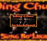 Wing Chun Pak Sung Bo Legends Steam CD Key