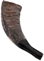 Terre Buffalo Horn