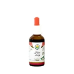 SALVIA PARADISE Hloh obecný AF tinktura 50 ml