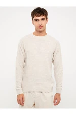 LC Waikiki Crew Neck Long Sleeve Men's Knitwear Sweater