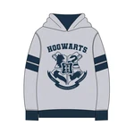 HOODIE COTTON BRUSHED HARRY POTTER