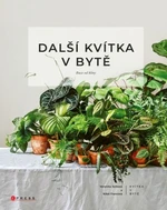 Další kvítka v bytě: Ruce od hlíny - Nikol Francová, Veronika Ježková - e-kniha