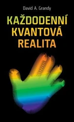 Každodenní kvantová realita - David A. Grandy - e-kniha