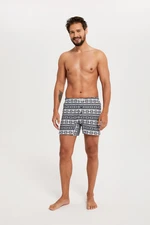 Men's boxer shorts Arctic - navy blue print