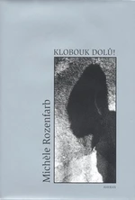 Klobouk dolů! - Michele Rozenfarb