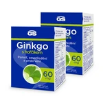 GS Ginkgo 60 mg s hořčíkem, 2 x 60 tablet