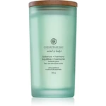 Chesapeake Bay Candle Mind & Body Balance & Harmony vonná svíčka 355 g