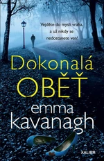 Dokonalá oběť (Defekt) - Emma Kavanagh