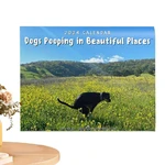 Dog Poop Calendar Poop Dog Humor Wall Calendar 2024 Clear Printing Humorous Gifts For Birthdays Christmas And Anniversaries