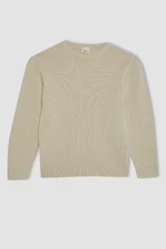 DEFACTO Boy's Ecru Crew Neck Basic Plain Sweater