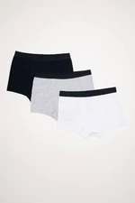 DEFACTO Size 3-Pack Boxer