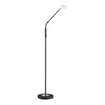 Czarna lampa stojąca LED ze ściemniaczem (wysokość 150 cm) Dent – Fischer & Honsel