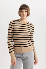 DEFACTO Regular Fit Striped Crew Neck Knitwear Sweater