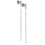 Nordic Walking hole LEKI Passion 023  115 cm