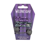 HAIR ACCESSORIES CLIPS 4 PIECES WEDNESDAY