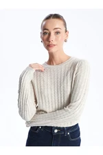 LC Waikiki Crew Neck Self-Patterned Long Sleeve Women's Knitwear Sweater