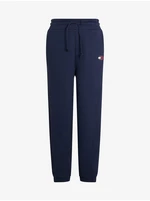 Tommy Hilfiger Jeans Sweatpants - Tommy Jeans TJW RELAXED HRS BADGE SWEATPANT dark blue