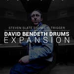 Steven Slate Trigger 2 David Bendeth (Expansion) Actualizaciones y Mejoras (Producto digital)