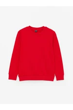 LC Waikiki Crew Neck Basic Long Sleeve Boys' Sweatshirt.