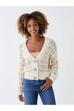 LC Waikiki Women's V-Neck Openwork Long Sleeve Oversized Knitwear Cardigan